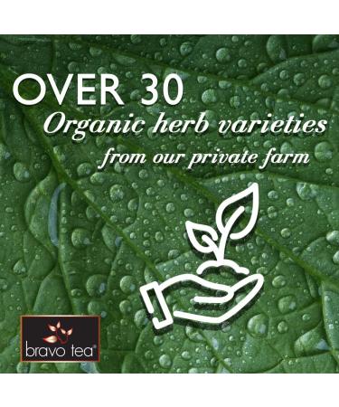 Buy Bravo Tea Absolute Ginkgo Biloba Herbal Tea - Caffeine Free, 20 Bags - Buy Online on GoSupps.com