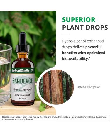 NutraMedix Daily Immune Support Supplement - Banderol Herbal Supplements for Immune System Support - Vegan Tincture - Bioavailable Otoba Bark Extract Liquid Drops (1 oz/30 ml) 1 Fl Oz (Pack of 1) - Buy Online on GoSupps.com