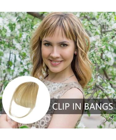 Clip On Bangs Human Hair - Clip On Fringe Human Hair Extensions | Natural Color Fringe Hairpieces Fringe Clip In Hair French Bangs Stylish Neat Bangs Hair Extension For Girls Women gray gold - Buy Online on GoSupps.com