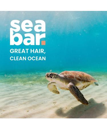 Eco-Friendly Conditioner Bar Refill - All Natural Vegan Sulfate-Free Hair Care with SeaTree Oil - Zero Waste Reusable Packaging - Buy Online on GoSupps.com