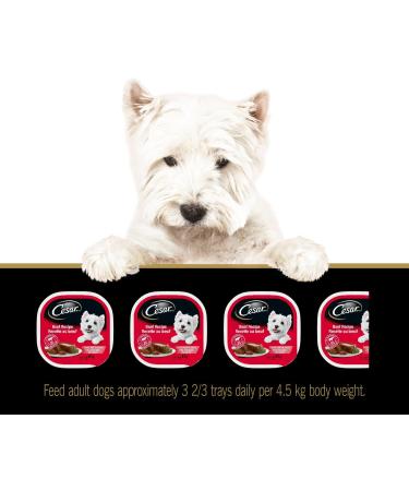 CESAR Adult Wet Dog Food Classic Loaf in Sauce Entr es - Beef - Turkey 100g Tray (12 Pack) Beef - Turkey 100 g (Pack of 12) - Buy Online on GoSupps.com
