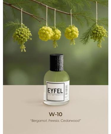 EYFEL Perfumes for Women W10 INSPIRED BY J'ADORE Eau de Parfum Spray Women's Fragrances EDP 50 ml / 1.76 FL. OZ. - Buy Online on GoSupps.com