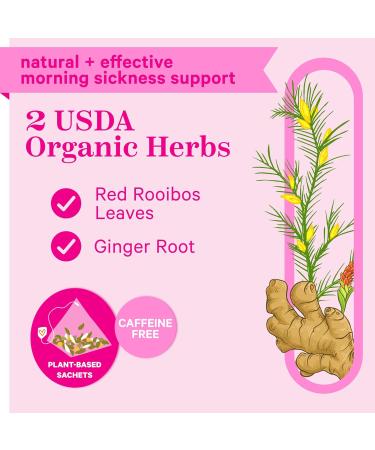 Pink Stork Nausea Relief Tea: 100% Organic Nausea Relief Tea Ginger Tea for Motion Sickness Digestion Nausea Relief for Women Women-Owned Ginger Peach 30 Cups - Buy Online on GoSupps.com