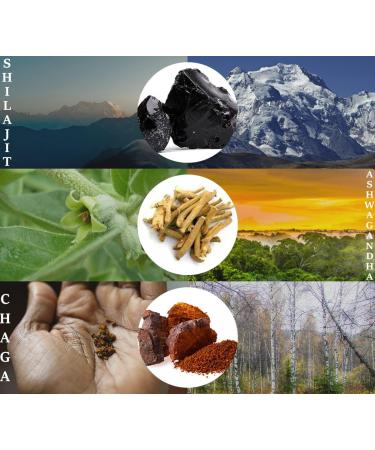 Wise Oak Shilajit Gummies 500mg - Chaga, Ashwagandha, B12, D2 Vitamins - Black Cherry Flavored Vegan Ayurvedic Supplement - Buy Online on GoSupps.com