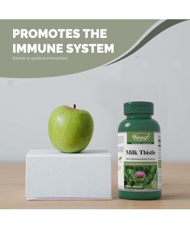 Milk Thistle Extract 25:1 150mg (3750mg raw herb) 3 X 120 Capsules 80% Silymarin Liver Health Detoxification Supplement Support Gallbladder Natural Cleanse (3 Bottles) 120 count (Pack of 3) - Buy Online on GoSupps.com