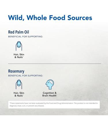 NORTH AMERICAN HERB & SPICE Purely-E - 60 Capsules Pack of 2 - Supports Healthy Hair Skin & Nails - From Sunflower Oil Pumpkin Seeds & African Red Palm Oil - Non-GMO - 120 Total Servings - Buy Online on GoSupps.com