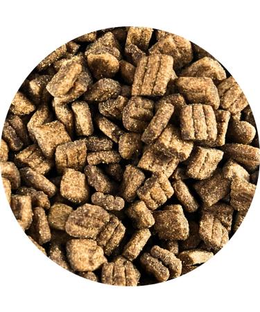 Dry dog food - For all breeds - Premium quality - 5 kg - Buy Online on GoSupps.com