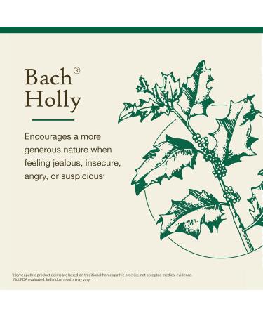 Bach Original Flower Remedies Holly - Goodwill Towards Others - Natural Homeopathic Flower Essence for Emotional Balance - Vegan Gluten Free Sugar Free - 20mL Dropper - Buy Online on GoSupps.com