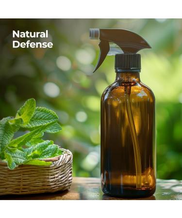 Healing Solutions Organic Eucalyptus Essential Oil 16 Fl Oz Pure Eucalyptus Oil for Diffusers Sprays and Candle Making - Buy Online on GoSupps.com