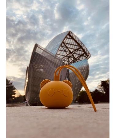 Schnullerbox - Silicone Pacifier Storage Case for Babies | Bear Design | Free Shipping | Pacifier Holder & Chain in Orange - Buy Online on GoSupps.com