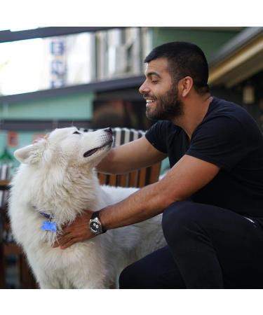 Trimming Shop Personalised Dog Tags for Pet ID Tags Engraved Any Name & Text Dog Collar Bone Dog Tag Dog Identification Collar Name Tag with Split Ring - Royal Blue - Buy Online on GoSupps.com