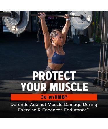 GNC AMP CREABOLIC Triple Actoin Muscle Builder with 5G Micronized Creatine Monohydrate 3G of myHMB and 2.4G Peptistrong Lemonade 30 Servings - Buy Online on GoSupps.com