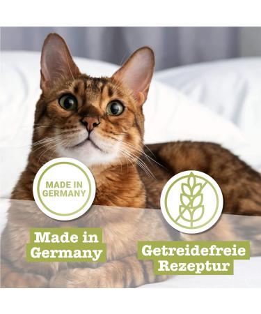 Buy Catz Finefood N 5 Salmon & Poultry Delicatessen Wet Cat Food - Refined with Spinach & Tomato | 6 x 200g Cans - Premium International Shipping - Buy Online on GoSupps.com