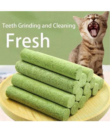 Cat Grass Teething Sticks Cat Grass Sticks Cat Teeth Cleaning Cat Grass Stick Natural Dried Cat Grass Treats Dental Snacks for Cats Cat Teeth Cleaning Treats (1Pack/6Pcs) - Buy Online on GoSupps.com