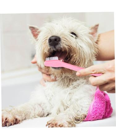 Kisangel 30 pcs Dual-head Handheld Clean Supplies Cat Nylon Oral Cleaning Brush Small Pet Puppy Portable 1 count (Pack of 1) Assorted Colorx3pcs - Buy Online on GoSupps.com