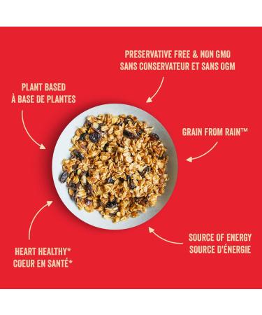 Stoked Oats Granola - Bucking-Eh (6 Pack) High Protein Less Sugar Superfood Breakfast - Gluten Free High Fibre Non GMO (300g per box) Bucking-Eh 300 g (Pack of 6) - Buy Online on GoSupps.com