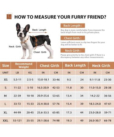Cit toile Dog Life Jacket - Safe & Lightweight Swimming Vest for Small Medium & Large Dogs - Reflective Handle - Orange - Buy Online on GoSupps.com