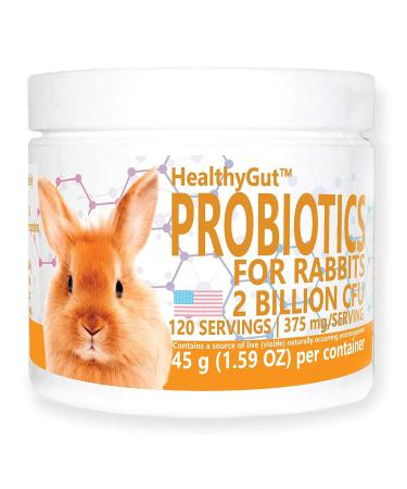 Equa Holistics HealthyGut Probiotics for Rabbits Dietary Supplement, All-Natural Digestive System Formula 120 Servings