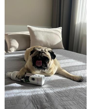 IO.Clinique Blackcurrant Repair Shampoo 400 ml - Buy Online on GoSupps.com