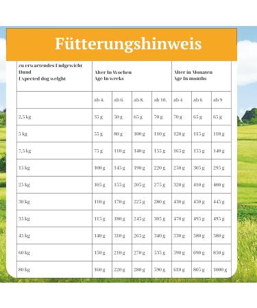 Bellfor - Dry food for puppies - Landgut-Schmaus Junior grain-free with insect protein - Hypoallergenic food for dogs (7.5) - Buy Online on GoSupps.com