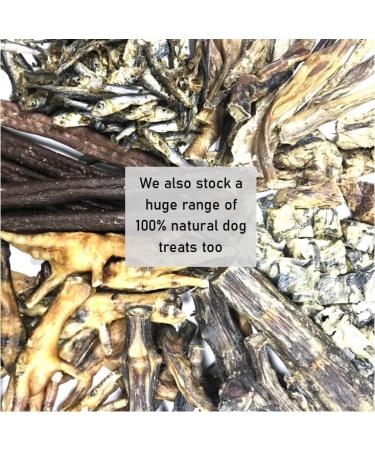 Rawhide Ring Large x 5 Natural Rawhide Dog Treats LOD3 - Buy Online on GoSupps.com