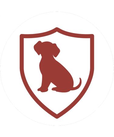 Purina One Mini Adult Wet Food for Small Dogs - 10 kg Bocconi in Sauce with Chicken Beef & Vegetables - 40 Pack (10 x 4 Bags 100g Each) - International Shipping Available - Buy Online on GoSupps.com