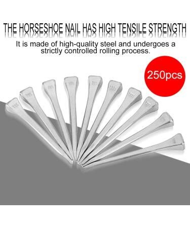 Steel Horseshoe Nails 250Pcs Horseshoe Nails Nail Palm for Horse Horseshoe Nail Horseshoe Nail Horse Horseshoe Nail for Horse Race Horse - Buy Online on GoSupps.com