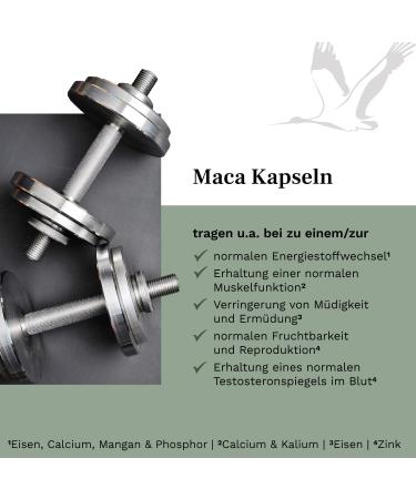 Maca 1500 mg - 180 Vegan Capsules for 2 Months | Additive-Free Lab Tested Made in Germany | Boost Your Vitality Now! - Buy Online on GoSupps.com