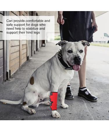 Dog Leg Protector Flexible Dog Leg Support Brace for Pet Dog (XL) XL Red - Buy Online on GoSupps.com