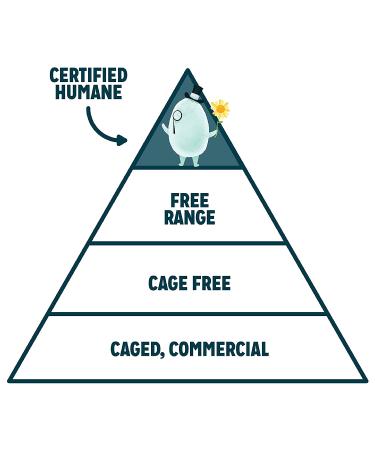Sir Kensington's 100% Avocado Oil Ranch Dressing - 9 fl oz (266 ml) - Creamy & Delicious - Buy Online on GoSupps.com