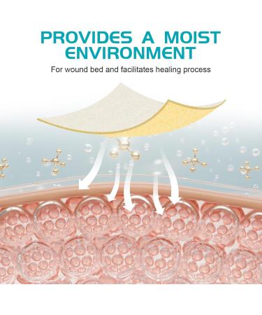 Buy Manuka Honey Calcium Alginate Wound Dressing | Medical Grade Wound Care Bandages - 2x2 Pack of 10 - High Absorbency - Buy Online on GoSupps.com