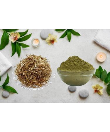 VAYUP Dhamasa Powder-Churna-Fagonia Cretica-Raw Herbs-Dhamaso-SIngle Herbs-Jadi Booti (1000 Gram) - Buy Online on GoSupps.com