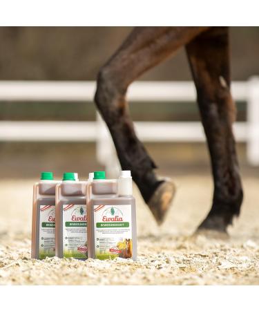 EWALIA Bewegungssaft Premium Supplement for Horses to Support the Musculoskeletal System - Naturally Promotes General Well-Being with Medicinal Herbs - Buy Online on GoSupps.com