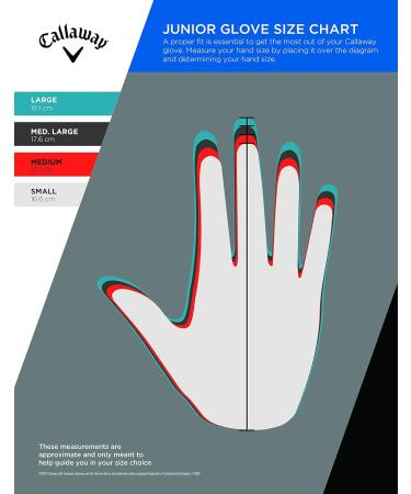 Buy Callaway Golf Juniors Weather Spann Left-Hand Glove - Premium Leather Blend Perfect for Young Golfers | International Shipping Available - Buy Online on GoSupps.com