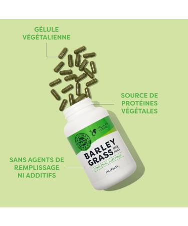 Vimergy G lules de Jus d'Herbe d'Orge 30 portions Jus d'Herbe d'Orge Super Vert Sans Agents Anti-Agglom rants Additifs Ar mes ou Sucre - V g talien sans OGM et sans Gluten (240 g lules) 240 unit (Lot de 1) - Buy Online on GoSupps.com