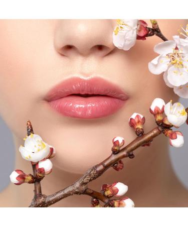 40 Pack Lip Balm Bulk Fruit Lip Balm Variety Pack Natural Moisturizing Balms for Dry Cracked Lips Hydrating for Men Women Kids - 10 Flavors 1 Count (Pack of 40) - Buy Online on GoSupps.com