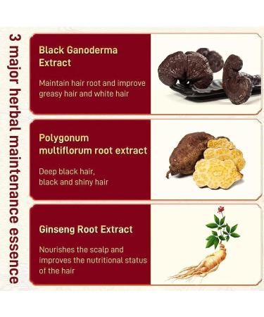  Lambo Polygonum Multiflorum Shampoo | Grey Reverse Polygonum Hair Growth Shampoo 240ml - He Shou Wu Hair Darkening Deep Cleansing Shampoo for Grey Hair Men Women  - Buy Online on GoSupps.com