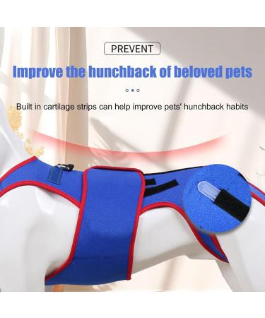 Dog Back Brace Support - Pet Support and Rehab Harness Dog Back Brace for Dogs D-Ring and Reflective Strips Back Protector Support Helps Hurt Relief Dogs Back - Buy Online on GoSupps.com