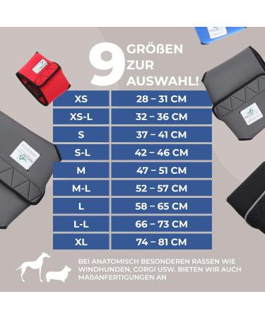 Procedure Pants for Dogs 2.0 - High-Quality Neoprene Dog Diapers for Males | Comfortable & Breathable | Size L - Gray - Buy Online on GoSupps.com