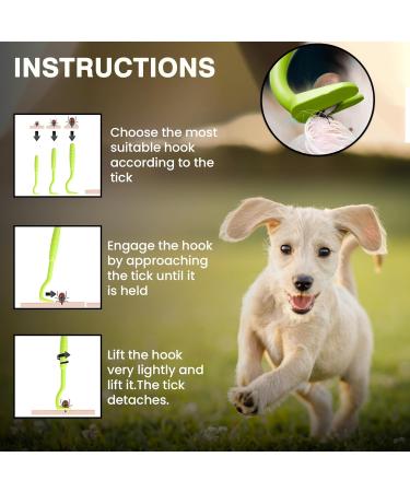 Or. Tick Remover Tool 3 Pcs Dog Tick Remover Tools for Dogs Cats Horses Rabbits Guinea Pigs and Humans Painless Cat Tick Removal Tool with Flea Comb (Green Tick Green) Green Tick Green - Buy Online on GoSupps.com
