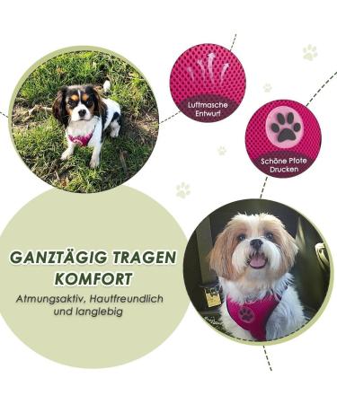 Slowton Dog Harness with Safety Belt for Car - Breathable Light Pink Seat Belt with 2 Carabiner Hooks | Medium Size - Buy Online on GoSupps.com