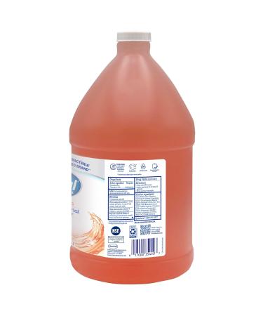 Buy Dial Complete Original Antibacterial Foaming Hand Wash - 1 Gallon Bottle | International Shipping Available - Buy Online on GoSupps.com