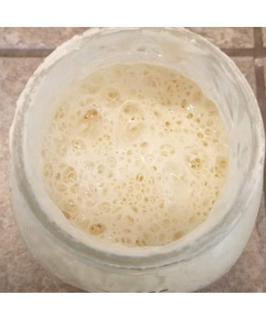 Wild Wheat Sourdough Starter Dehydrated - Contact for Best Customer Service - Buy Online on GoSupps.com
