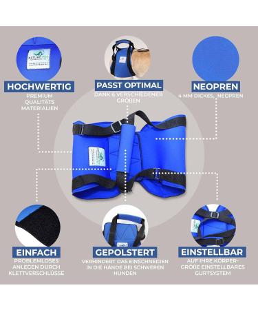 Nature PET Carrier for Dogs - Stair Aid Lift Strap for Older & Sick Dogs - Black L (1 Pack) | International Shipping - Buy Online on GoSupps.com