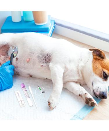 GANAZONO Pet Dog Pregnancy Pregnant Test Paper Strip Fast and Accurate Detection Pet Dog Pregnancy Test Card Dog Pregnant Test - Buy Online on GoSupps.com