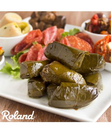 Roland Foods Canned Dolmas  Stuffed Vine Leaves with Rice and Spices  Specialty Imported Food  13.9-Ounce Can (pack of 6) Stuffed Vine Leaves 13.9 Ounce (Pack of 6) - Buy Online on GoSupps.com