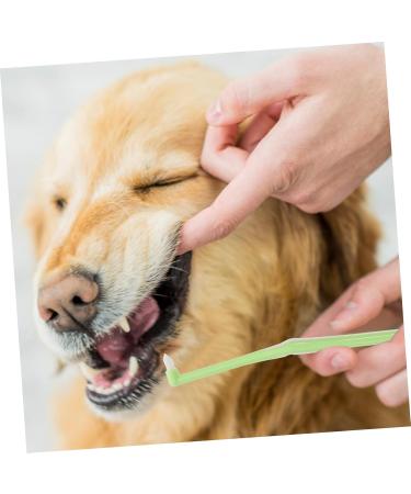 BESPORTBLE 1pc Pet Single Head Toothbrush Dog Toothbrush and Toothpaste Teeth Care Brush Cleaning Kits Plastic 1 count (Pack of 1) Random Color - Buy Online on GoSupps.com