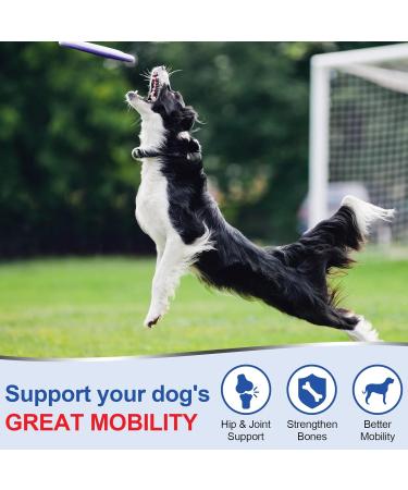 ColEaze Glucosamine for Dogs 150 Count Joint Supplement Glucosamine Chondroitin MSM Turmeric Hip & Joint Health Chicken Liver Flavour Chicken 150 Count - Buy Online on GoSupps.com