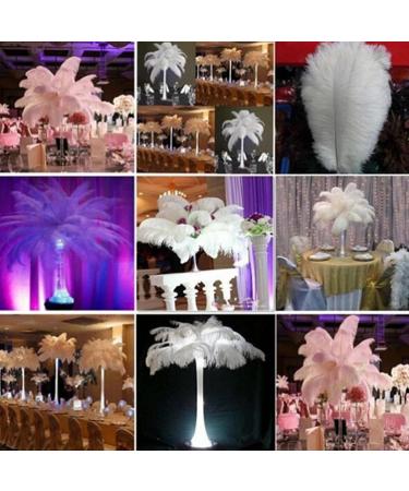OstrichFeather Wedding Decor | Natural OstrichPlumes | Feather Accessories for Clothing Wedding Feather Centerpieces OstrichFeather Bouquet Bulk Ostrichfeathers - Buy Online on GoSupps.com