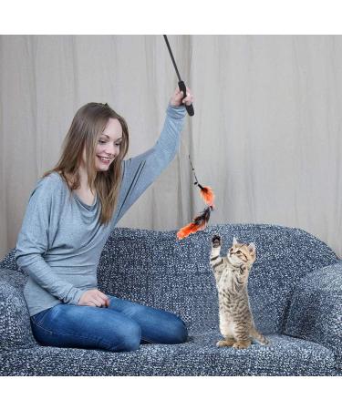 Goldge Cat Toys - Feather Retractable Fishing Rod with 12 Refills | Interactive Play for Indoor Cats & Kittens - Buy Online on GoSupps.com